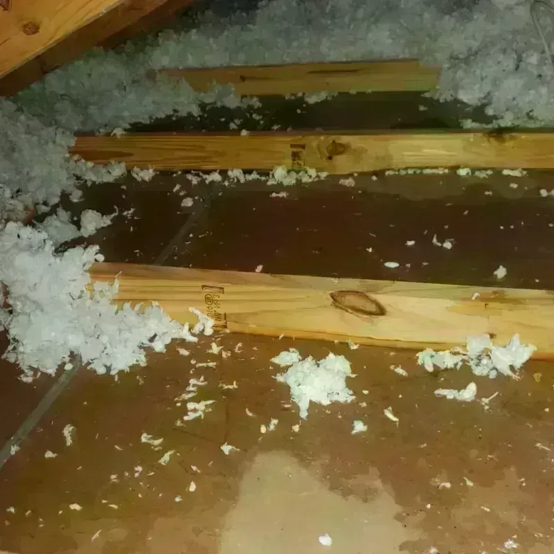 Attic Water Damage in Newark, NJ