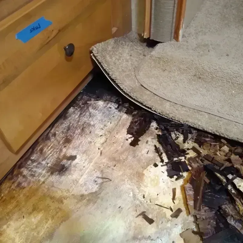 Wood Floor Water Damage in Newark, NJ